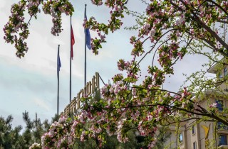 【宜居燕達】擁抱自然 頤養身心 讓您盡享愜意晚年